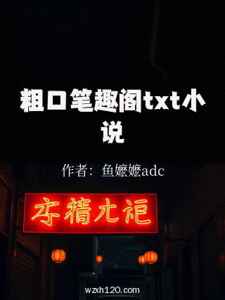 粗口笔趣阁txt小说