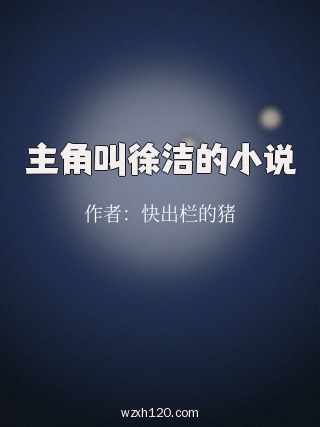主角叫徐洁的小说