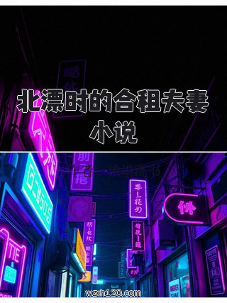 北漂时的合租夫妻小说