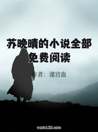 苏晚晴的小说全部免费阅读