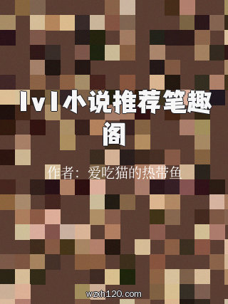 1v1小说推荐笔趣阁