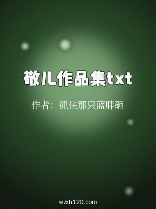 敬儿作品集txt