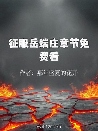 征服岳端庄章节免费看
