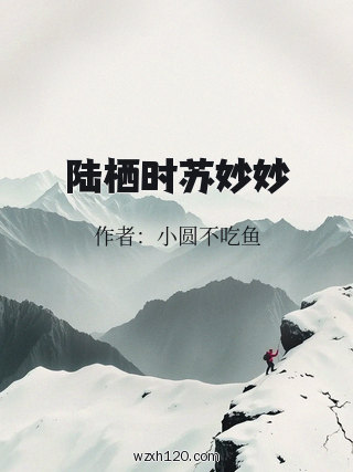 陆栖时苏妙妙