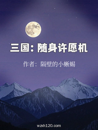 三国:随身许愿机