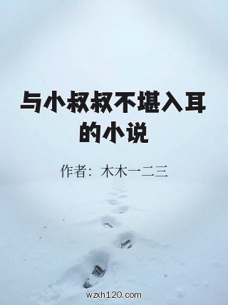 与小叔叔不堪入耳的小说