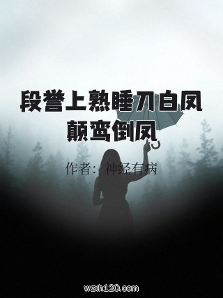 段誉上熟睡刀白凤颠鸾倒凤
