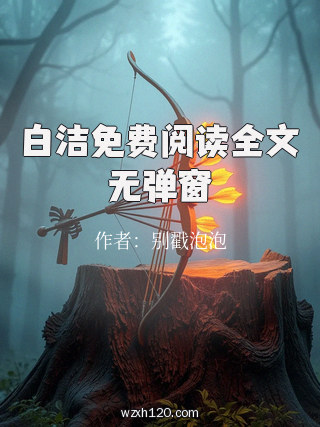 白洁免费阅读全文无弹窗
