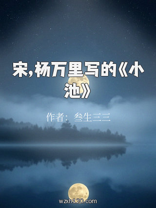 宋,杨万里写的《小池》