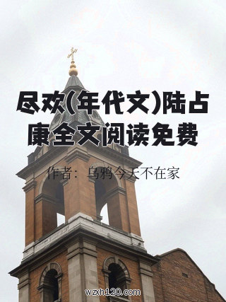尽欢(年代文)陆占康全文阅读免费