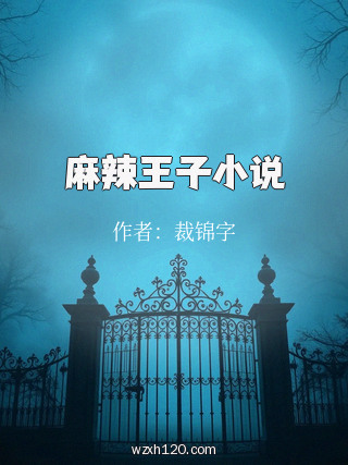 麻辣王子小说