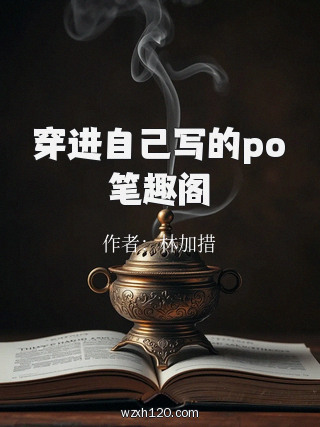 穿进自己写的po笔趣阁