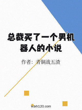 总裁买了一个男机器人的小说