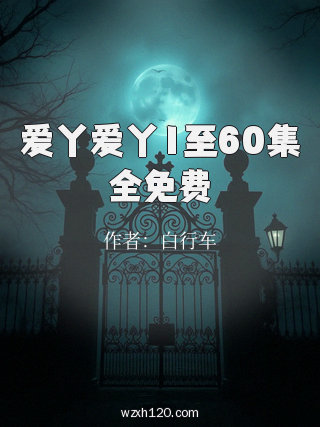 爱丫爱丫1至60集全免费