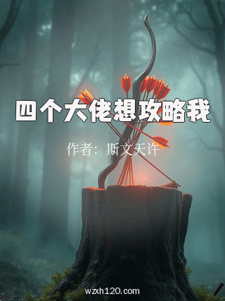 四个大佬想攻略我