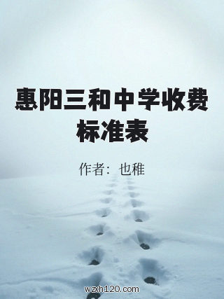 惠阳三和中学收费标准表