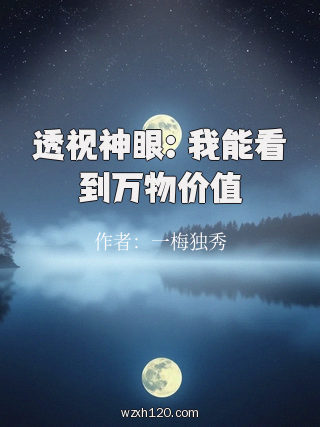 透视神眼:我能看到万物价值
