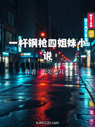 一杆钢枪四姐妹小说