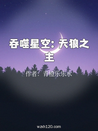 吞噬星空:天狼之主