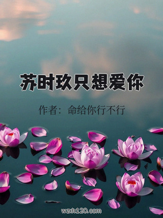 苏时玖只想爱你