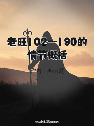 老旺102—190的情节概括