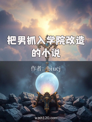 把男抓入学院改造的小说
