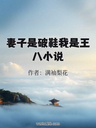 妻子是破鞋我是王八小说