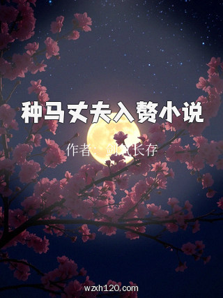种马丈夫入赘小说
