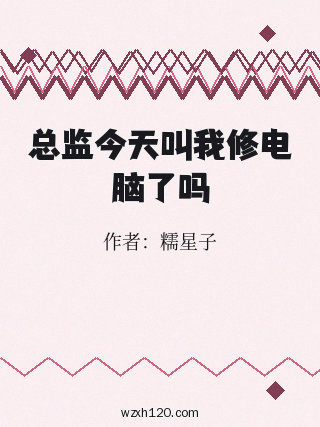 总监今天叫我修电脑了吗