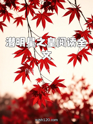 潜明星之皇阅读全文