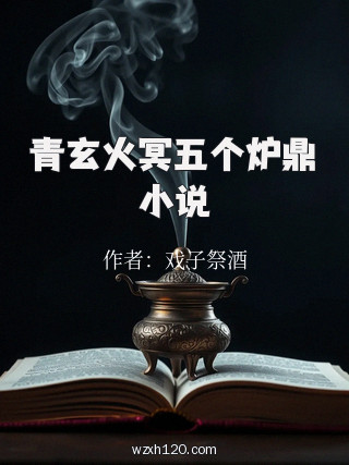 青玄火冥五个炉鼎小说
