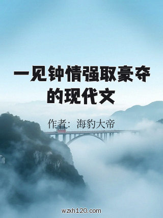 一见钟情强取豪夺的现代文