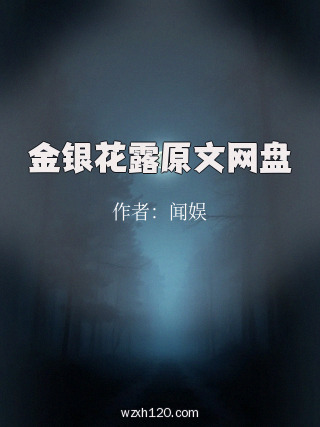 金银花露原文网盘