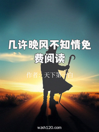 几许晚风不知情免费阅读