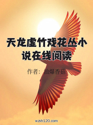 天龙虚竹戏花丛小说在线阅读