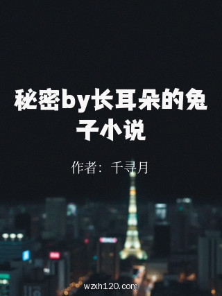 秘密by长耳朵的兔子小说