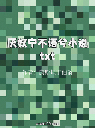 厌奴宁不语兮小说txt