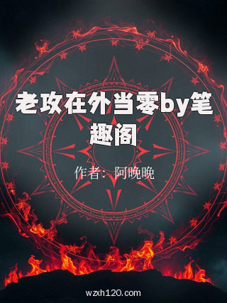 老攻在外当零by笔趣阁