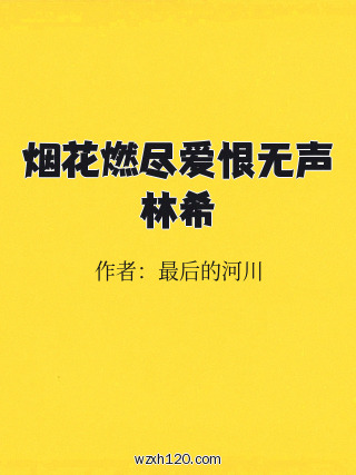 烟花燃尽爱恨无声林希