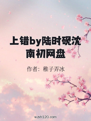 上错by陆时砚沈南初网盘