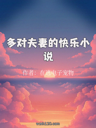 多对夫妻的快乐小说