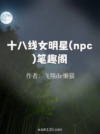 十八线女明星(npc)笔趣阁