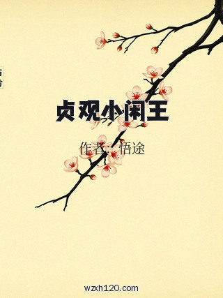 贞观小闲王