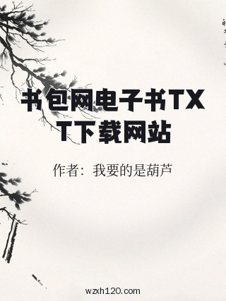 书包网电子书TXT下载网站