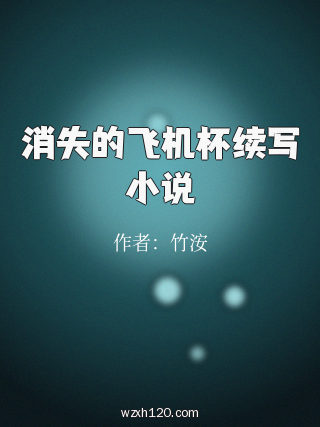 消失的飞机杯续写小说