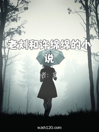 老刘和许绵绵的小说
