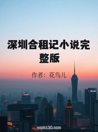 深圳合租记小说完整版