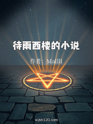 待雨西楼的小说