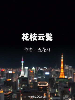 花枝云鬓
