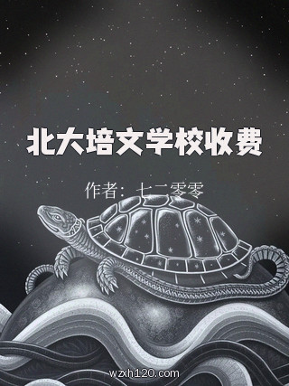 北大培文学校收费